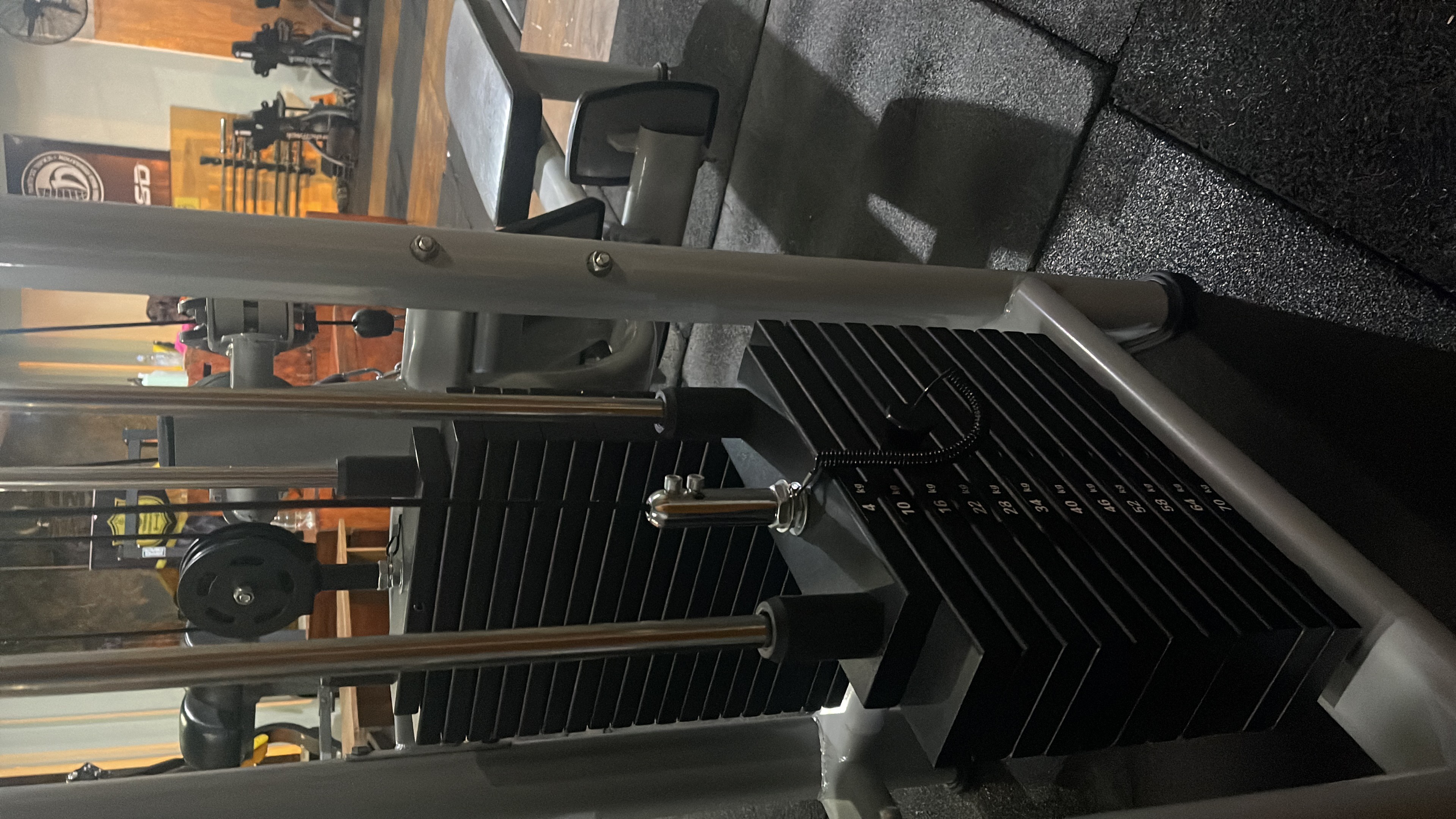 Musculación acceso Mensual